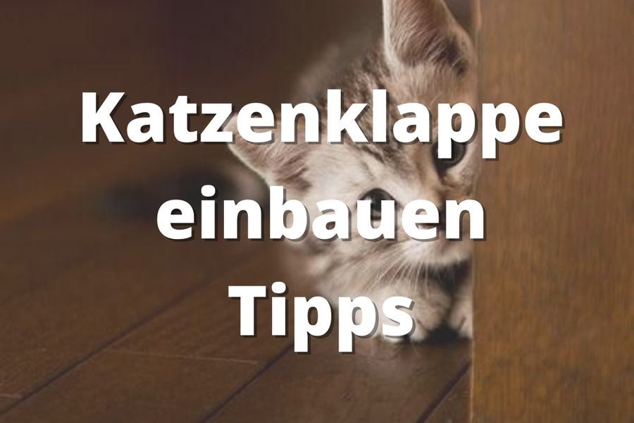 Katzenklappe Tipps